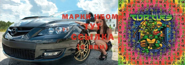гидропоника Абаза