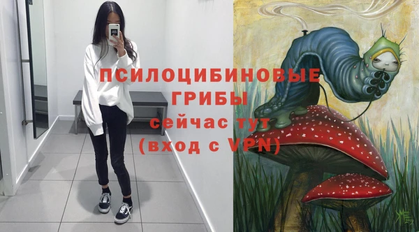 Альфа ПВП Алзамай