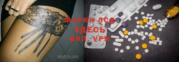 прущие грибы Алексин
